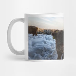 Scottish Highland Cattle Calf 1656 Mug